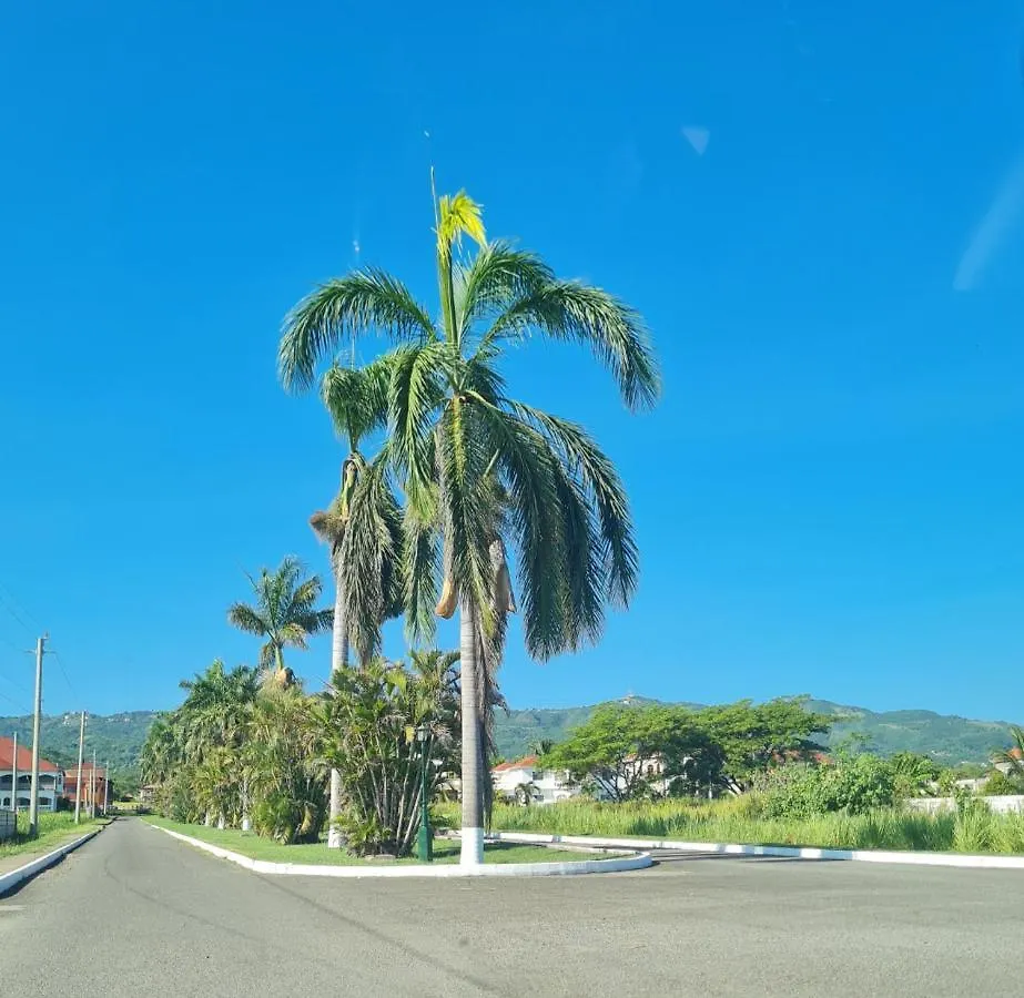 Tropical Paradise Retreat In St Ann'S Priory Jamaica