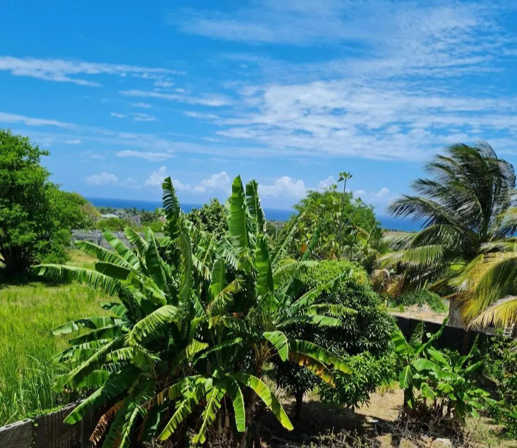 Tropical Paradise Retreat In St Ann'S Priory 0*,