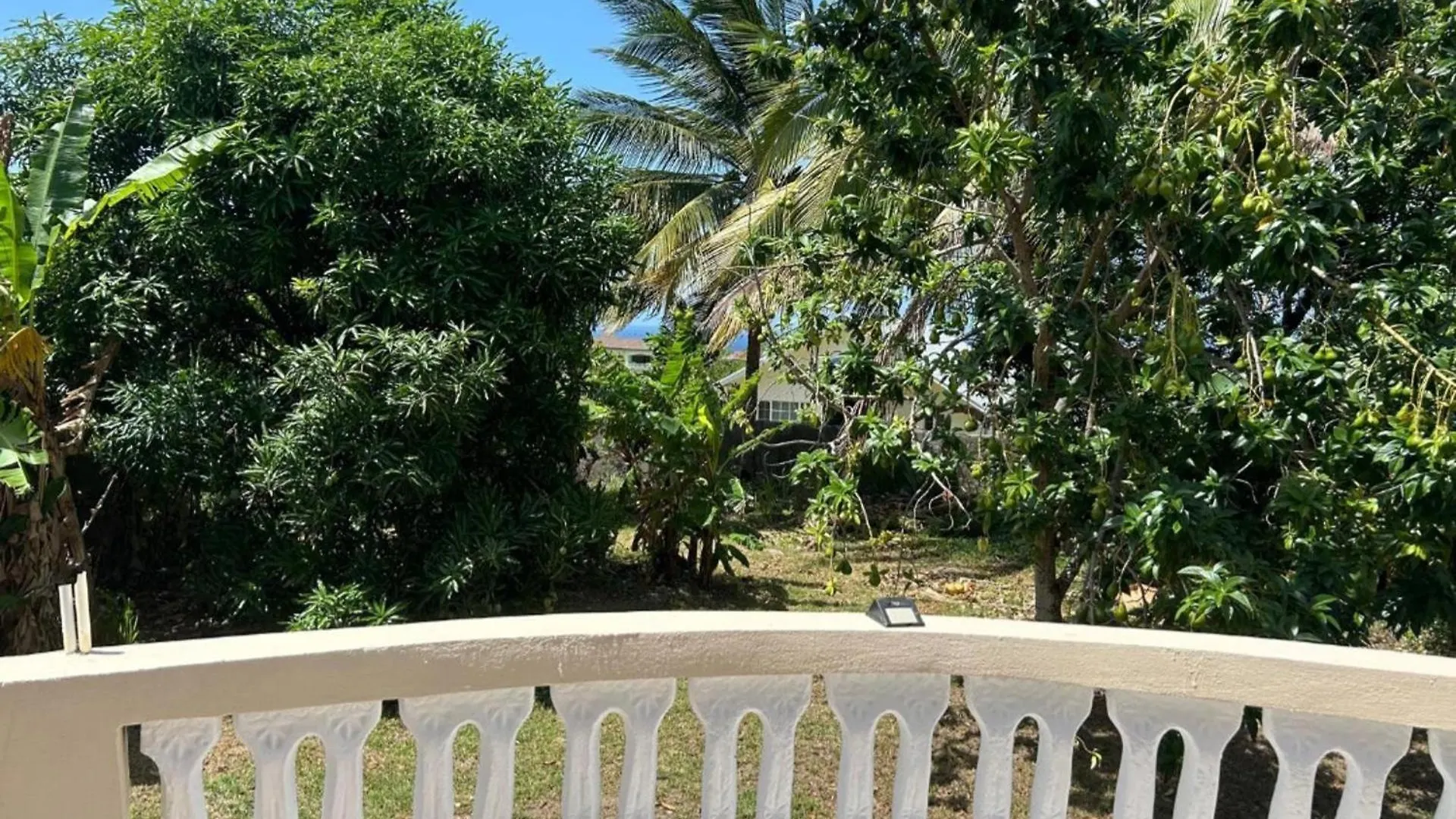 Tropical Paradise Retreat In St Ann'S Priory 펜션